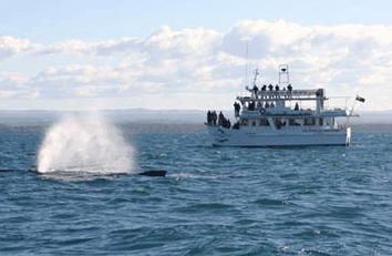 Huskisson NSW Darwin Holiday