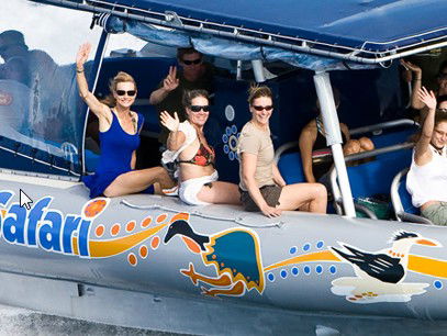 Ocean Safari - Darwin Holiday 3