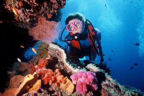 Calypso Reef Charters - Darwin Holiday 2