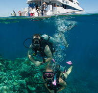 Down Under Cruise and Dive - Darwin Holiday