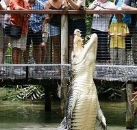 Hartley's Crocodile Adventures - Darwin Holiday