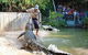 Hartley's Crocodile Adventures - thumb 4