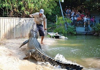 Hartley's Crocodile Adventures - Darwin Holiday 4