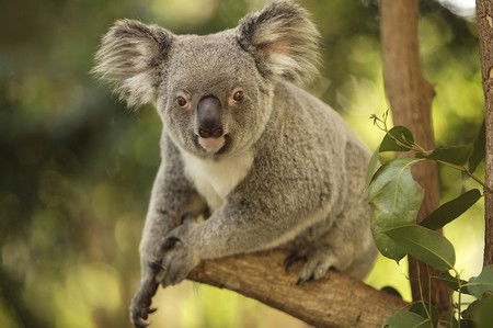 Hartley's Crocodile Adventures - Darwin Holiday 7