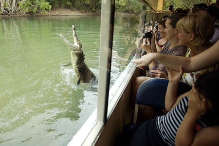 Hartley's Crocodile Adventures - Darwin Holiday 9