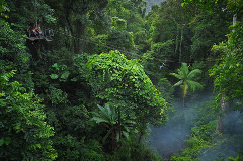 Jungle Surfing Canopy Tours And Jungle Adventures Nightwalks - Darwin Holiday 3