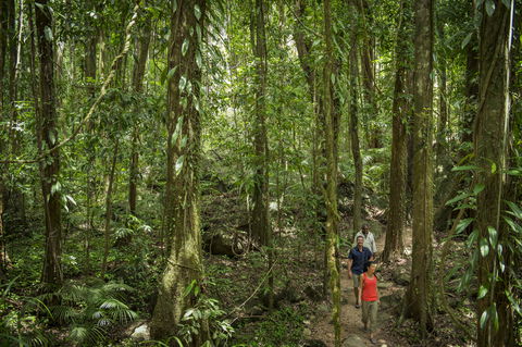 Mossman Gorge Centre - Darwin Holiday 1
