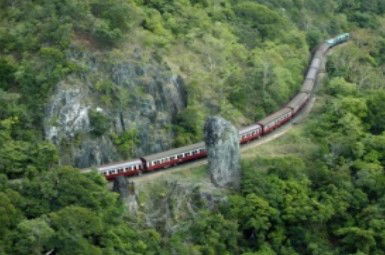 Reef And Rainforest Connections - Darwin Holiday 1