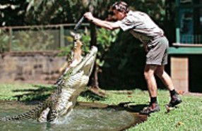 Reef And Rainforest Connections - Darwin Holiday 3