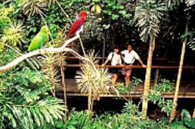 Reef And Rainforest Connections - Darwin Holiday 4