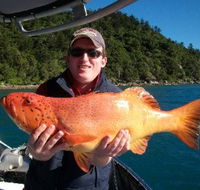 Gone Fishing by Coral Sea Fishing Charters Airlie Beach - Darwin Holiday