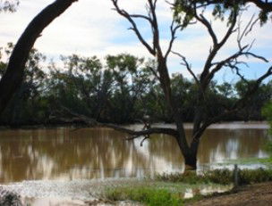 Allan Tannock Weir - Darwin Holiday 2