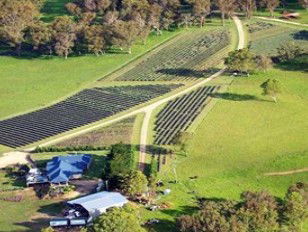 Aloomba Lavender - Darwin Holiday 3