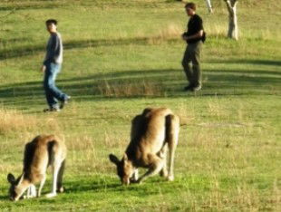 Rathdowney QLD Darwin Holiday