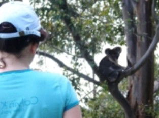 Araucaria Ecotours - Darwin Holiday 1