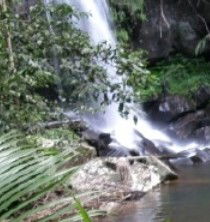 Araucaria Ecotours - Darwin Holiday 4