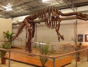 Diamantina Lakes QLD Darwin Holiday