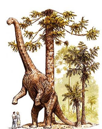 Australian Age Of Dinosaurs - Darwin Holiday 2