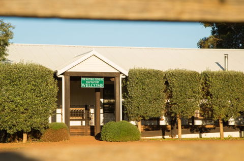 Vasse Virgin - Darwin Holiday 2