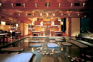 Koko - Darwin Holiday 0