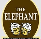 The Elephant - Darwin Holiday