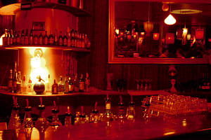 The Night Cat - Darwin Holiday 0