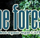 Forest Cafe  Bar - Darwin Holiday