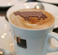 Brown Cow - Darwin Holiday