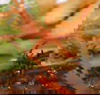 Hallam Hotel - Darwin Holiday