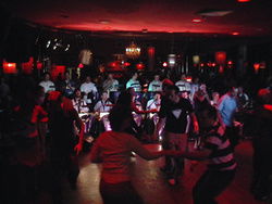 The Night Cat - Darwin Holiday 1