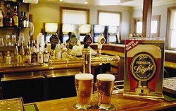 Regatta Bar - Log Cabin - Darwin Holiday 1