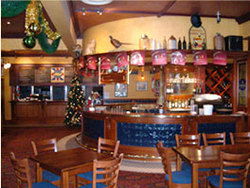 Slug And Lettuce - Darwin Holiday 2