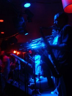 The Night Cat - Darwin Holiday 2