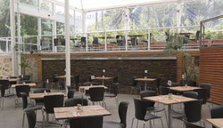 Tea Tree Gully Hotel - Darwin Holiday 3