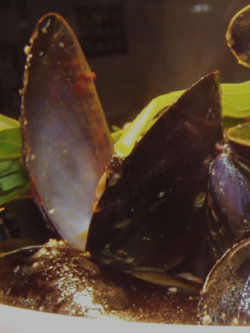 Apple Bar - Darwin Holiday 3