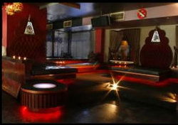 Birdee Num Num - Darwin Holiday 3