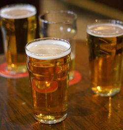 Avenues Tavern - Darwin Holiday 3