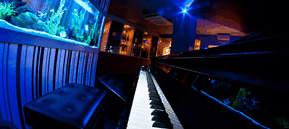 Saks Restaurant & Bar - Darwin Holiday 2