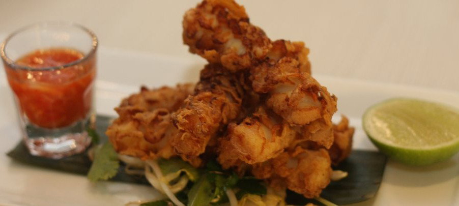 Castlecrag NSW Darwin Holiday