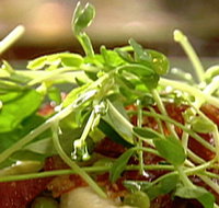 Wild Hearts Cafe Restaurant - Darwin Holiday