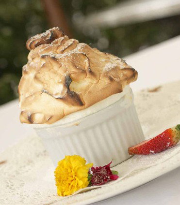 Maroochydore Bc QLD Darwin Holiday