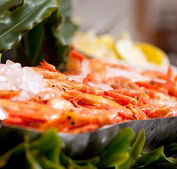 Food Fantasy - Darwin Holiday