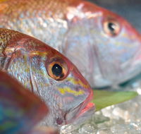 Coro Hotel - Lure Seafood Restaurant - Darwin Holiday
