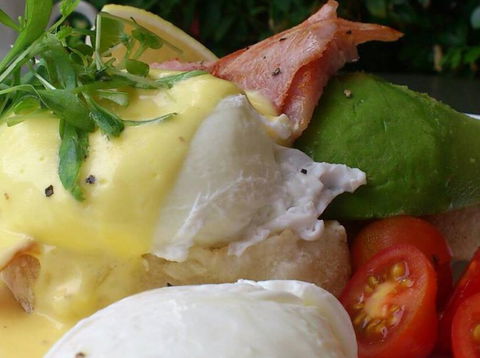 Vroom Bistro - Darwin Holiday 4