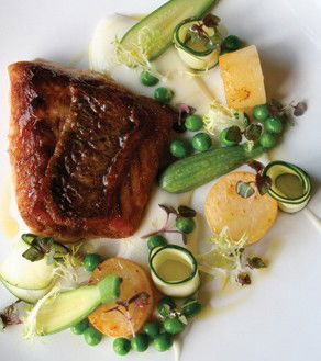 Mondo Organics Restaurant - Darwin Holiday 5
