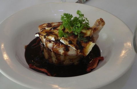 Purple Olive,The - Darwin Holiday 0