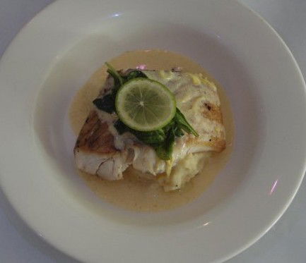 Purple Olive,The - Darwin Holiday 1