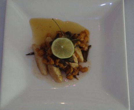 Purple Olive,The - Darwin Holiday 3