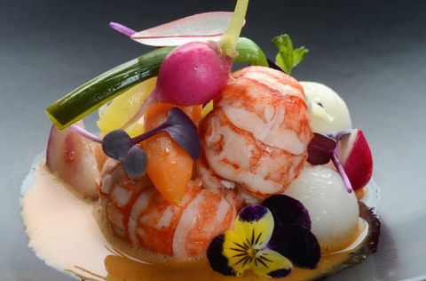 Room81 - Lounge Bar Dining - Darwin Holiday 4