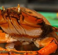 River Cottage Restaurant - Darwin Holiday